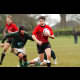 image 32 of 66
